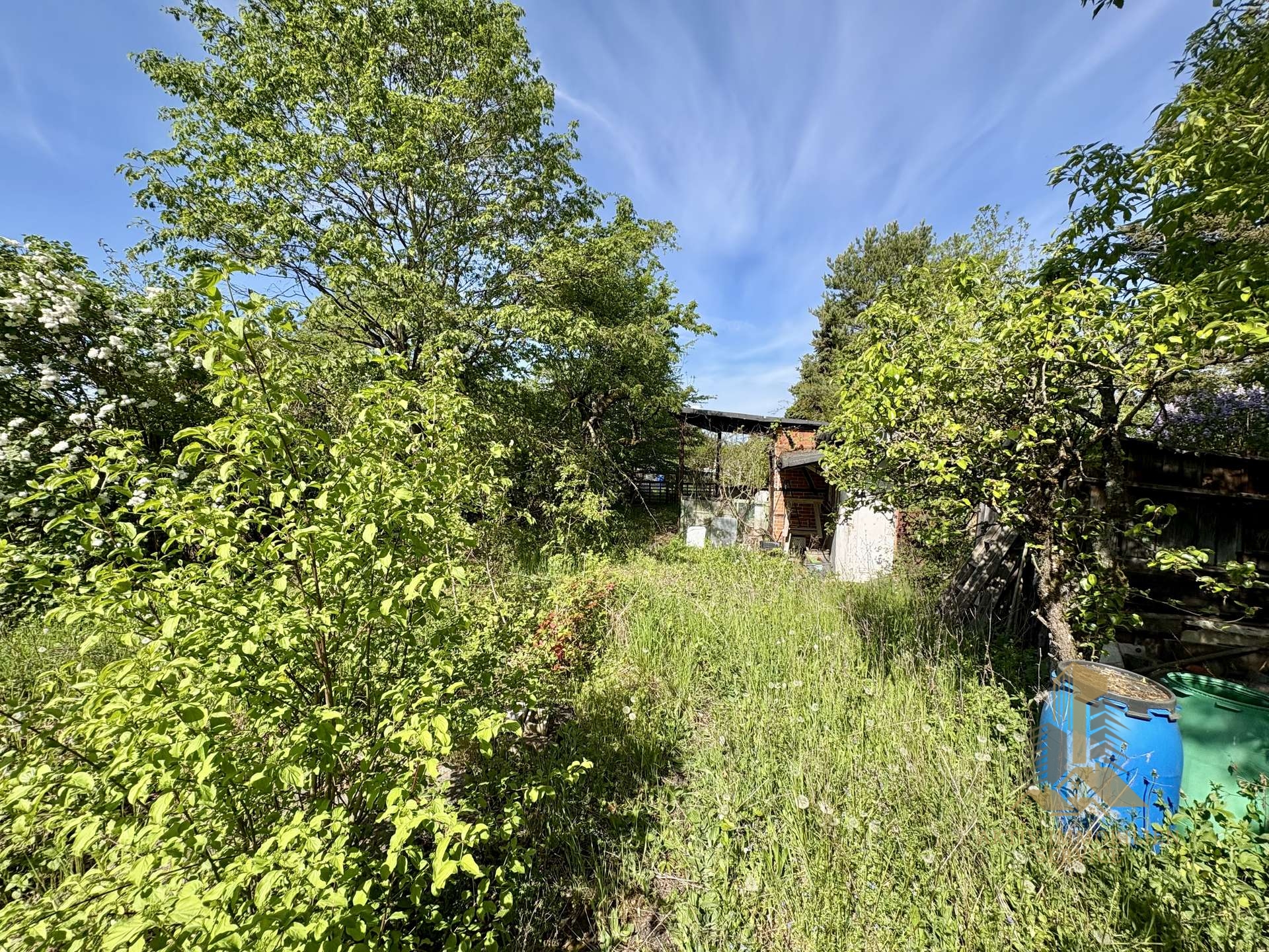 Blick zurück 4